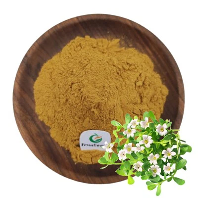 Bacopa Monnieri -uute